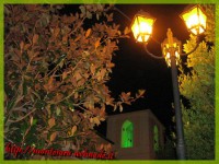 /album/galleria-foto/img-0719ok-jpg/